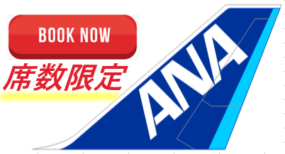 【ANAスペシャル】12月 JFK ⇔1月 羽田 ＜ NH 109便＆110便＞＊往復航空券、往復バス代、税金、燃油全て込!